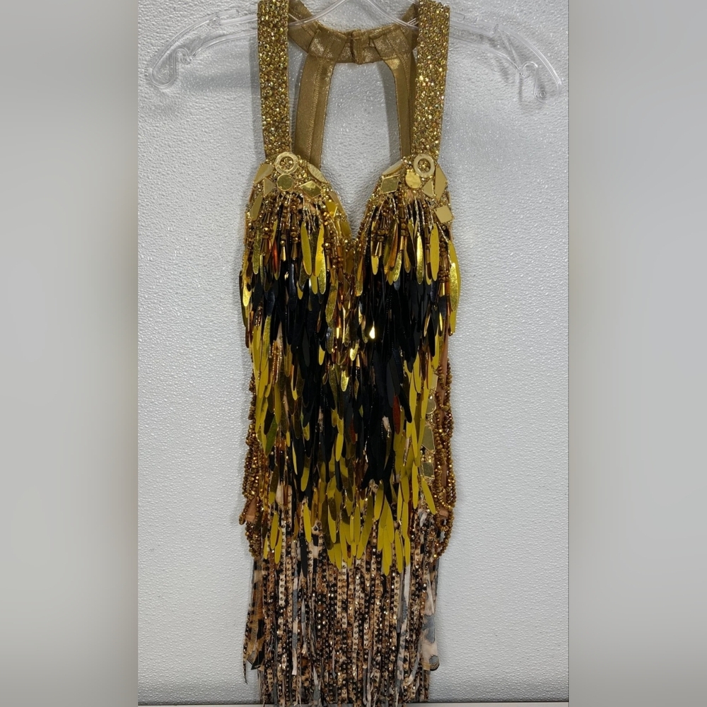 Everything Ballroom Rhythm/Latin Ballroom Dress